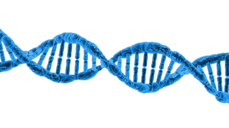 CRISPR-Cas9 Gene Editing